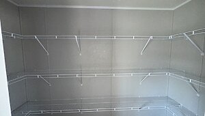 The 