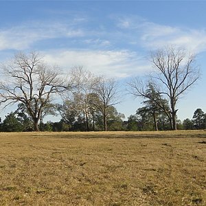 Land Home Package / 15602 FM2620 Lot 2 - SOLD Exterior 48050
