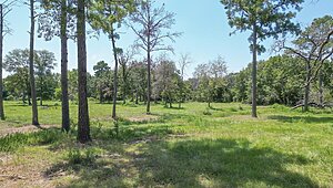 Land Package / 6781 Atakapan Trl, Bedias, TX 77831 Lot 6 Exterior 75929