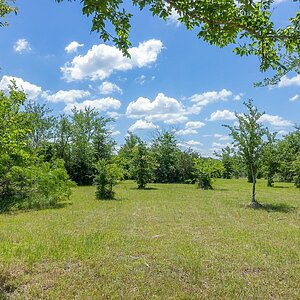 Land Home Package / 6798 Atakapan Trail, Bedias, TX 77831 Lot 30 Exterior 91551
