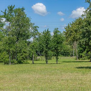 Land Home Package / 6757 Atakapan Trail, Bedias, TX 77831 Lot 7 Exterior 91572