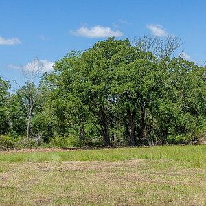 Land Home Package / 6501 Atakapan Trail, Bedias, TX 77831 Lot 18 Exterior 91589