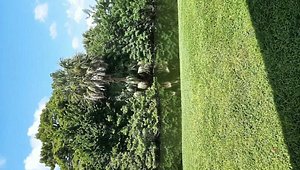 Buccaneer Estates / 872 La Costa Lane No Category 38509