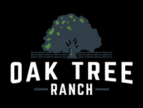 Manufactured Homes Modular Homes And Mobile Homes For Sale