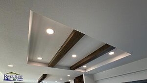 Platinum / Jackson Interior 83077