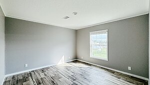 Pinnacle / 28704C No Category 81994