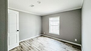 Pinnacle / 28704C No Category 81993