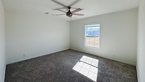 Pinnacle / 28764C No Category 84803