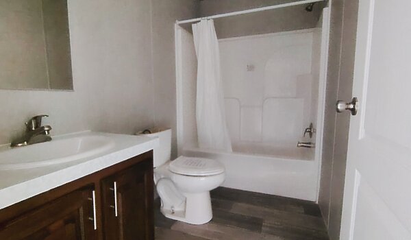 Live Oak / The Earnhardt No Category 85434