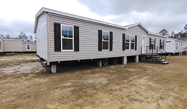 Live Oak / The Earnhardt No Category 85430