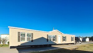 The Messi / Live Oak Super Star Runner No Category 85116