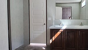 The Messi / Live Oak Super Star Runner No Category 85118