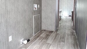 The Messi / Live Oak Super Star Runner No Category 85119