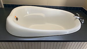 MD Singles / MD-109-SP Bathroom 10837