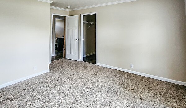 CHHZ-3260H32A1N 2.0 / Champion Ascend No Category 82288