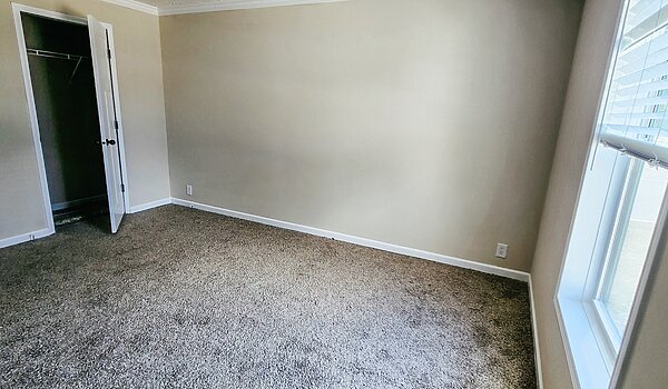 CHHZ-3260H32A1N 2.0 / Champion Ascend No Category 82289