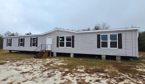 3276H53P01 / Champion Prime FBH No Category 86039