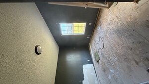 Trade / 01 Fleetwood No Category 87323