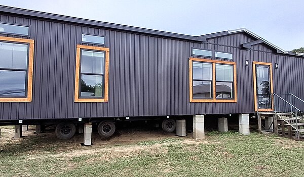 U-3563E-CLASSIC / Live Oak - Oaks Classic No Category 88418