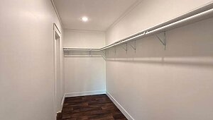 Disciple Series / The King David 64 Interior 85455