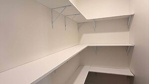 Disciple Series / The King David 64 Interior 85456