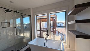 Disciple Series / The King David 64 Interior 85453