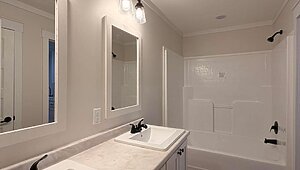 Disciple Series / King David 80 Interior 85467