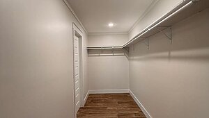 Disciple Series / King David 80 Interior 85469