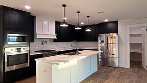 Disciple Series / King David 80 Interior 85460