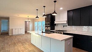 Disciple Series / King David 80 Interior 85461