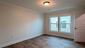 Disciple Series / King David 80 Interior 85462