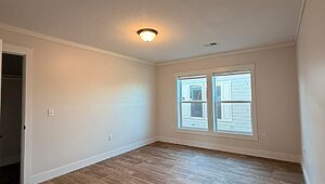 Disciple Series / King David 80 Interior 85463