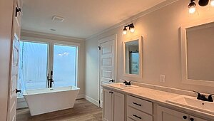 Disciple Series / King David 80 Interior 85464