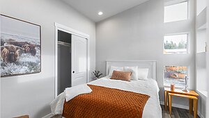 American Freedom Series / The Casa de Ceilo AF14371C Interior 85491