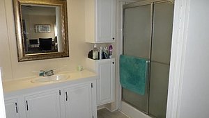 The Hamptons Golf and Country Club / 824 Pleasantview Dr Bathroom 33562