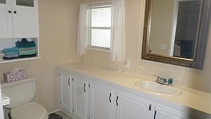 The Hamptons Golf and Country Club / 824 Pleasantview Dr Bathroom 33564