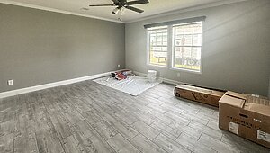 Lifestyle / Destiny No Category 82252