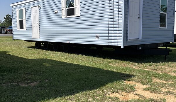 CHPR-1636H11P01 / Champion Prime FBH No Category 80436