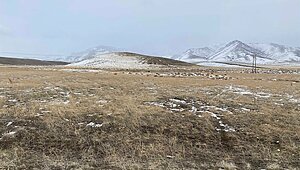 2.5 acre lot / 7825 BEA'S VIEW DR, WINNEMUCCA, NV 89445 Exterior 82679