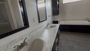 New Vision / The Whitehaven Interior 82855