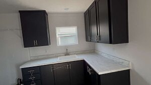 New Vision / The Whitehaven Interior 82856