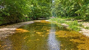 Land for Sale / 0 Upper Standing Rock Road, Dover, TN 37058 Interior 87569