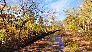 Land for Sale / 0 Upper Standing Rock Road, Dover, TN 37058 Interior 87574