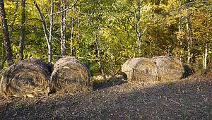 Land for Sale / 0 Upper Standing Rock Road, Dover, TN 37058 Interior 87573