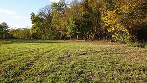 Land for Sale / 0 Upper Standing Rock Road, Dover, TN 37058 Interior 87572