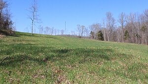 Land for Sale / 1 Grices Creek Rd ,Cumberland City, TN 37050 Interior 87577