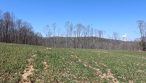 Land for Sale / 1 Grices Creek Rd ,Cumberland City, TN 37050 Interior 87585