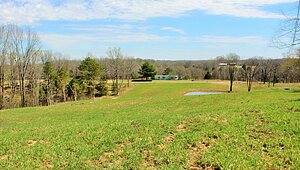 Land for Sale / 1 Grices Creek Rd ,Cumberland City, TN 37050 Interior 87576