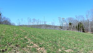 Land for Sale / 1 Grices Creek Rd ,Cumberland City, TN 37050 Interior 87583