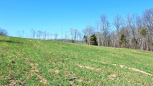 Land for Sale / 1 Grices Creek Rd ,Cumberland City, TN 37050 Interior 87582